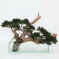Künstlicher Kriechwacholder-Mini-Bonsai