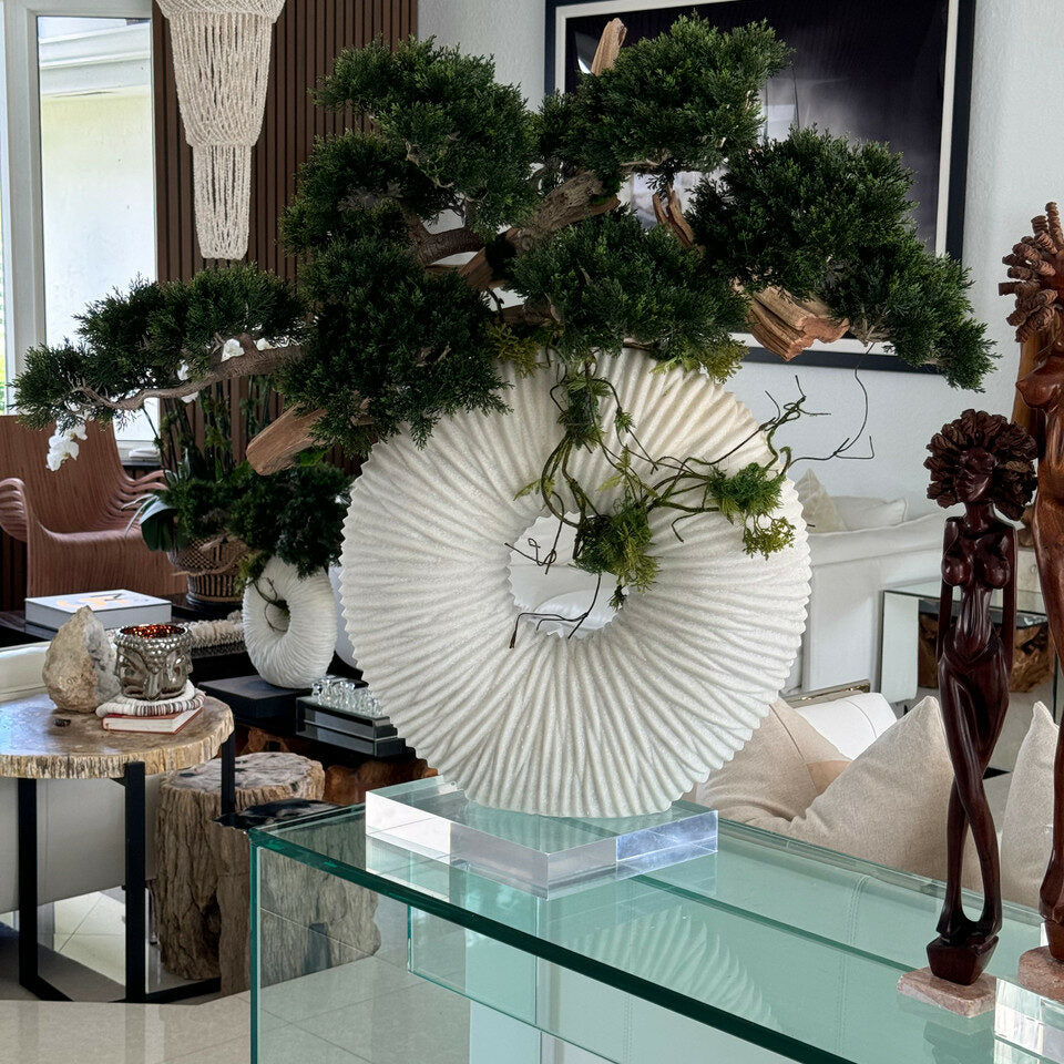 Große Ewigkeitsvase mit hängendem Mini-Bonsai und Treibholz