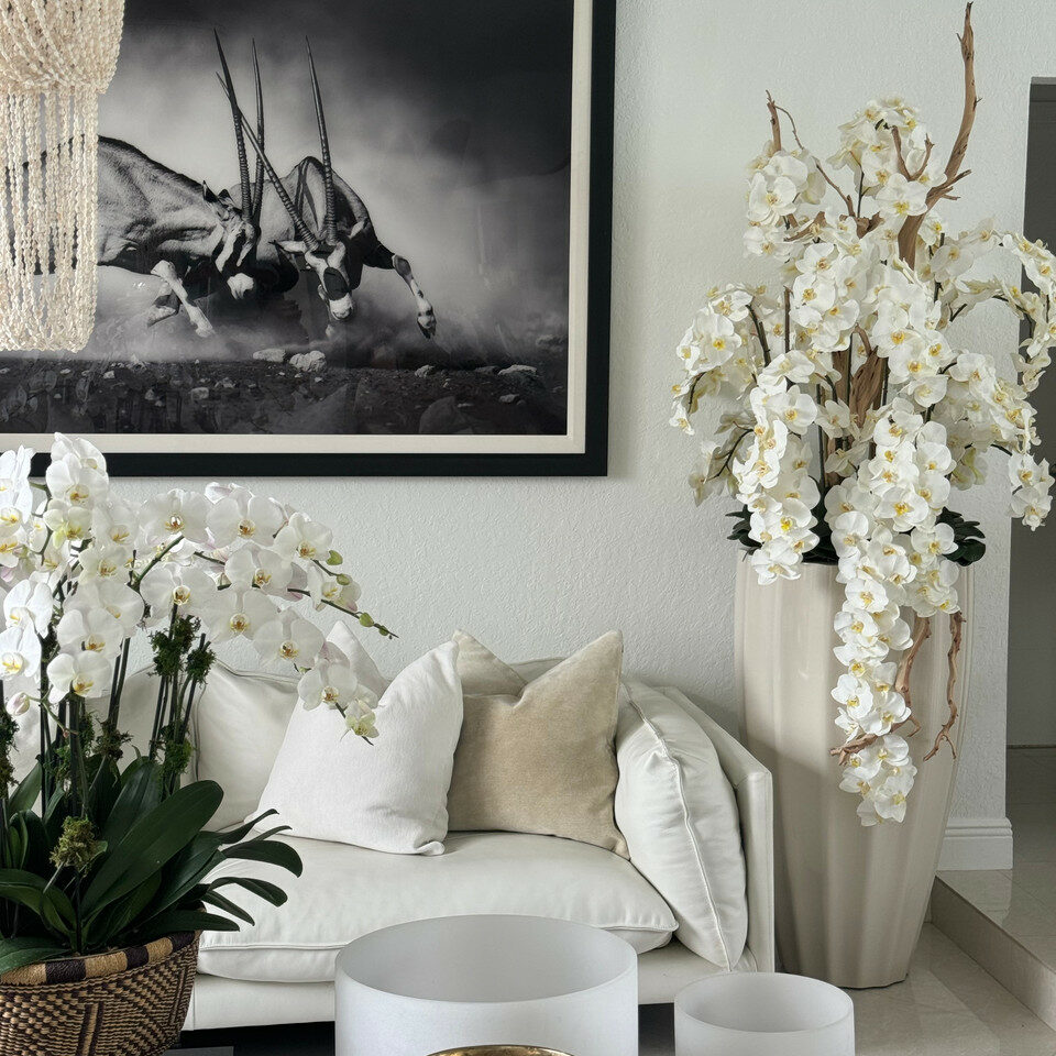 San Jose Vase in sandigem Beige mit weißen Orchideen im Wasserfall-Design