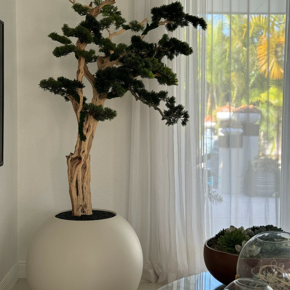 Mini-Bonsai-Baum im kugelförmigen Pflanzgefäß – 180 cm, Satinbeige