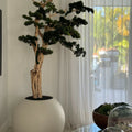 Mini-Bonsai-Baum im kugelförmigen Pflanzgefäß – 180 cm, Satinbeige