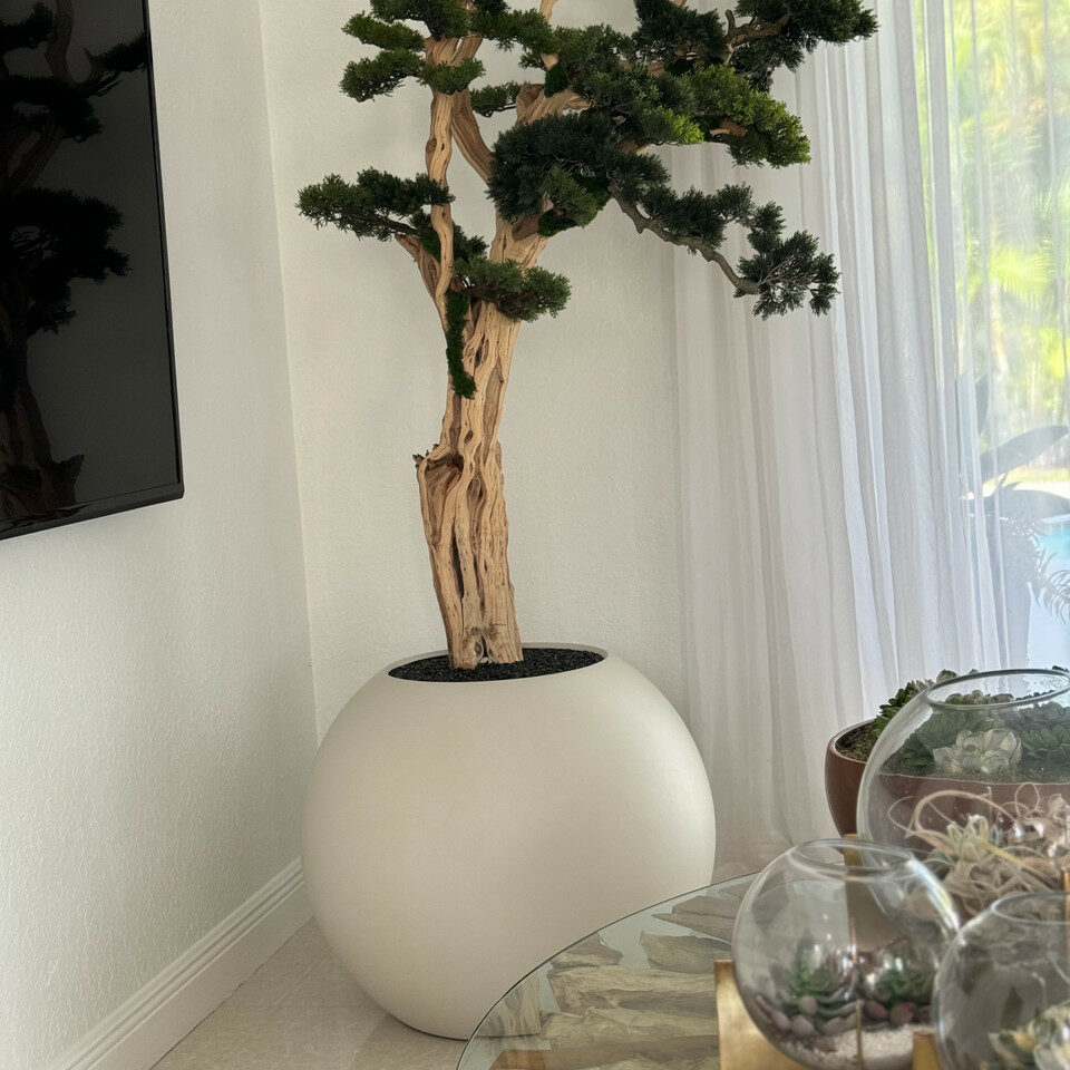 Mini-Bonsai-Baum im kugelförmigen Pflanzgefäß – 180 cm, Satinbeige